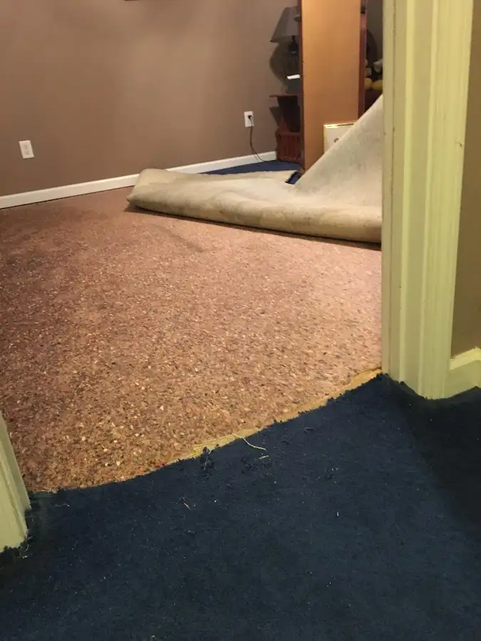 Carpet pad removal revealing water damage during Drying & Dehumidification in Lafayette