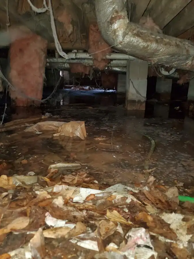 Crawl space flood assessment for Commercial Water Damage Restoration in Lafayette