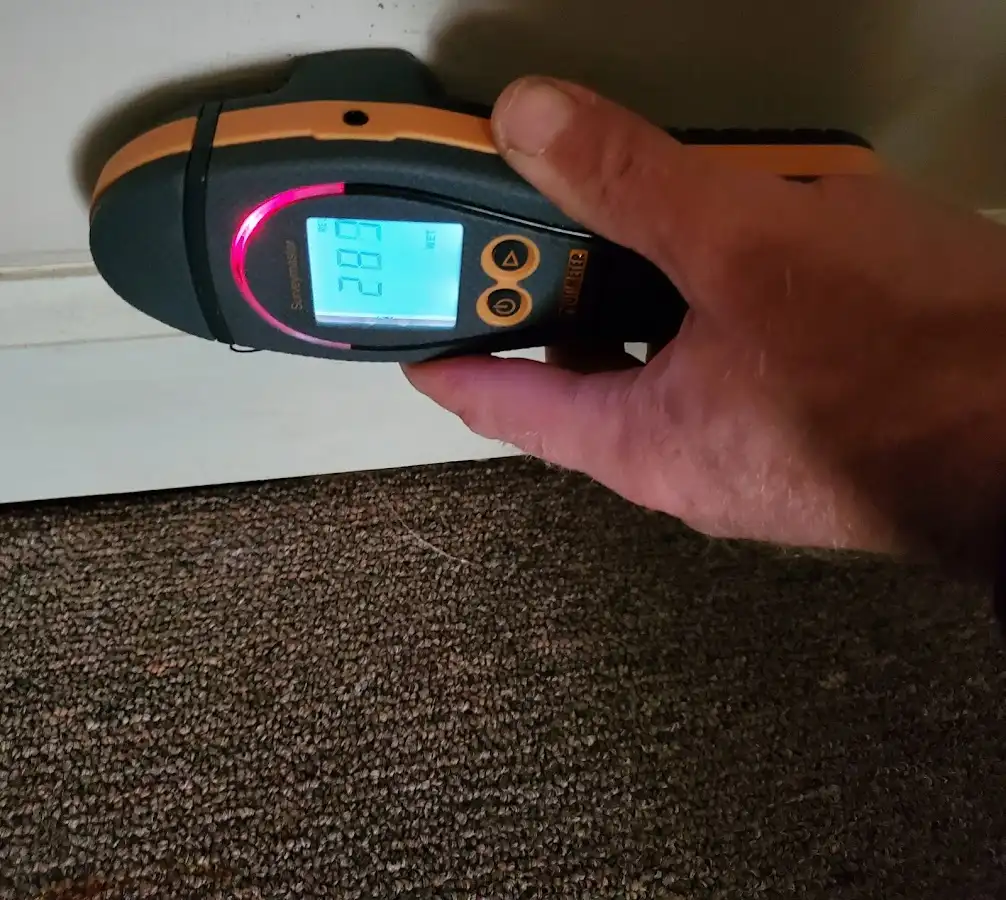 Moisture detection at baseboard during Sewage Cleanup & Sanitation in Lafayette